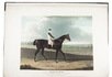 14 hand-coloured aquatint plates of wonderful racehorses