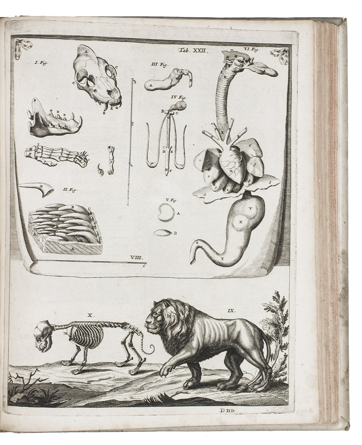 First general systematic treatise on comparative anatomy